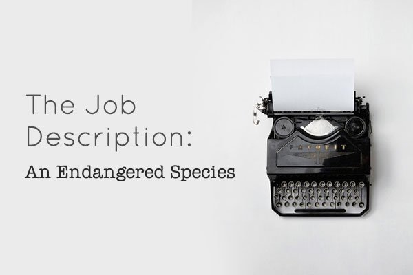 job-description