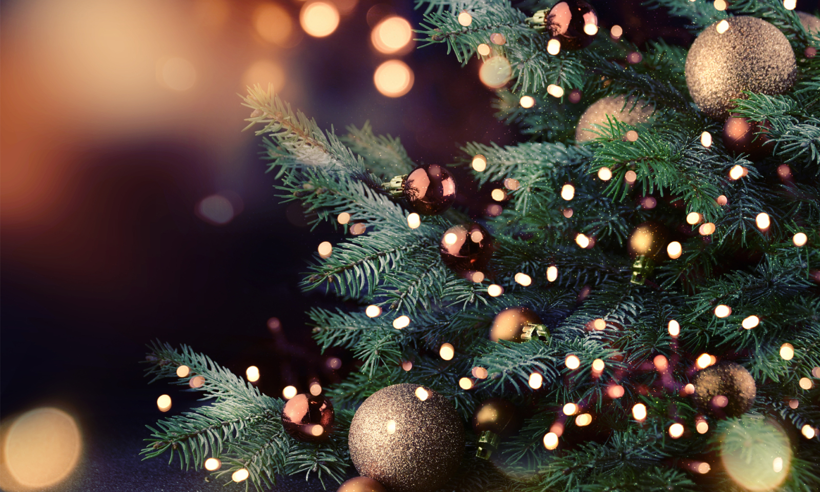 Best Christmas Campagins