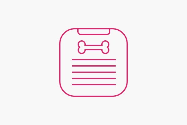 app-insur