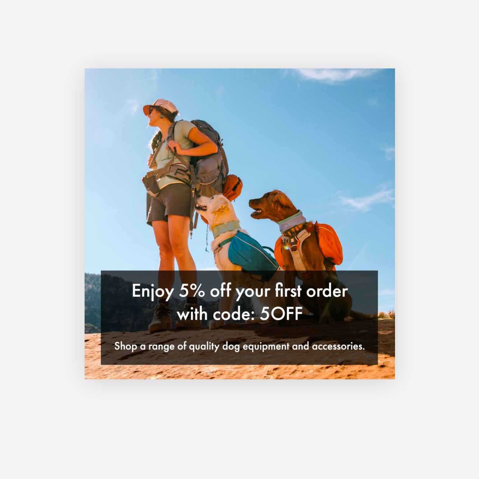 Mountain Dog advert