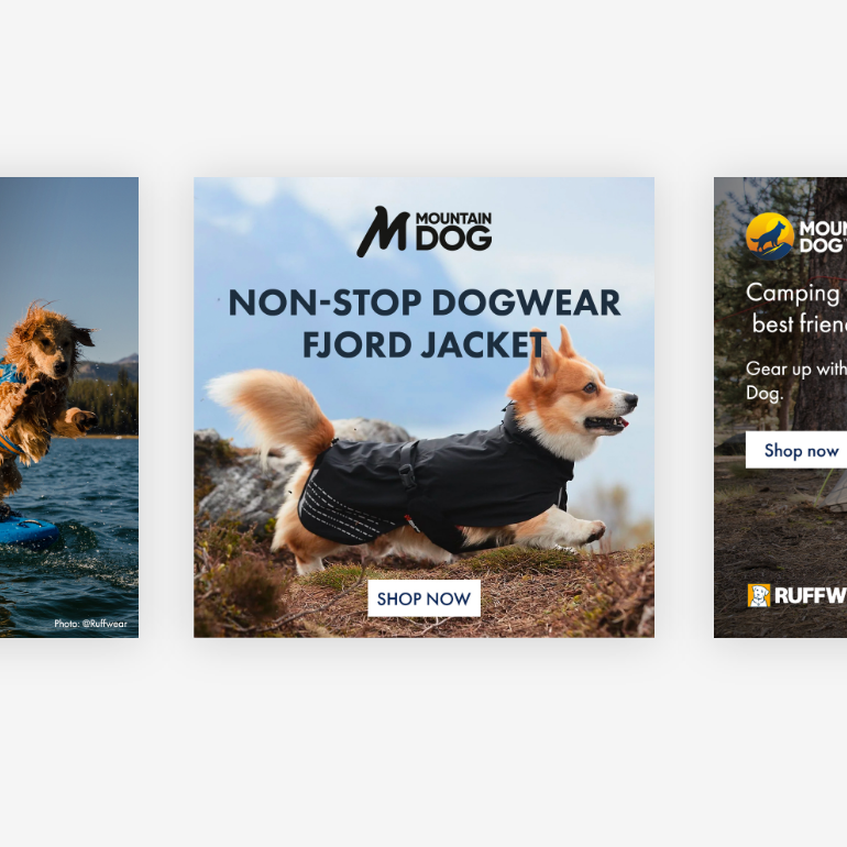 Mountain Dog adverting examples