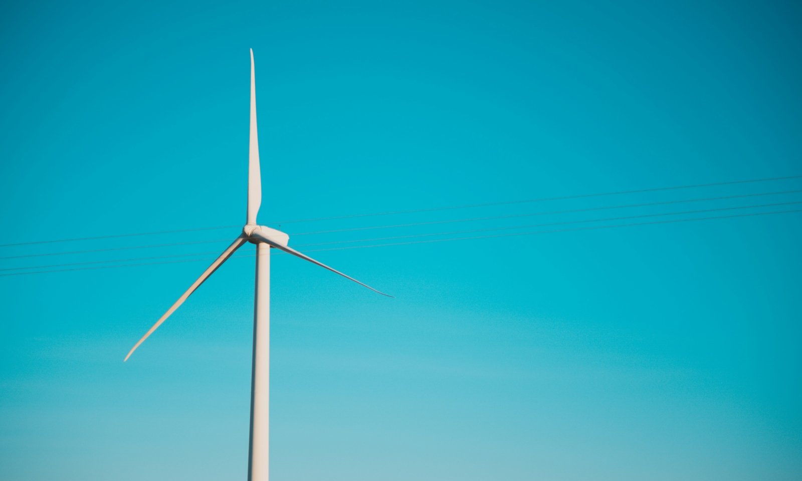Shopify & sustainability
