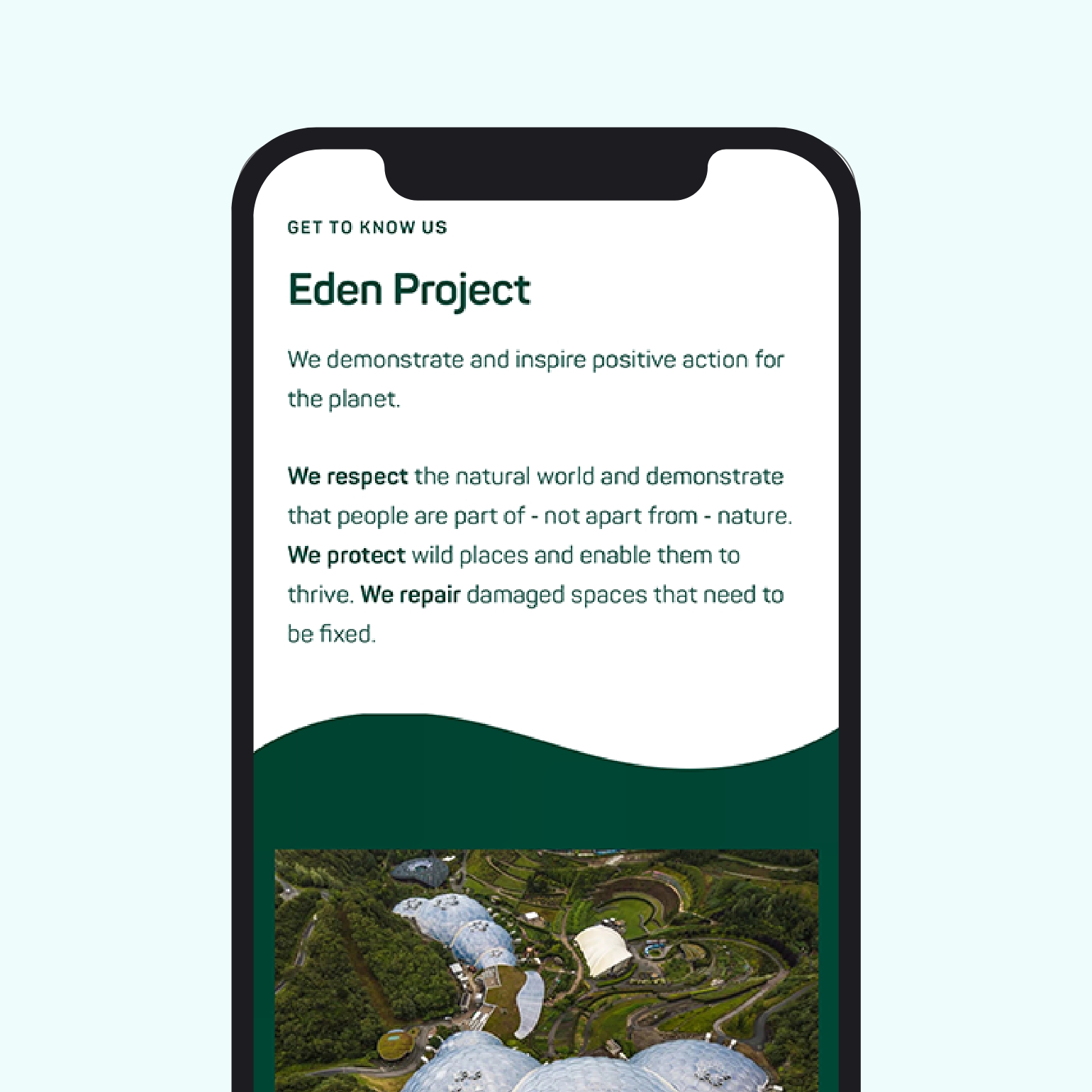Eden Project Shop Case Study