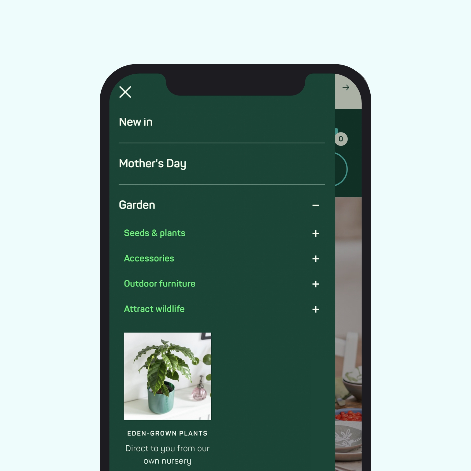 Eden Project Shopify development