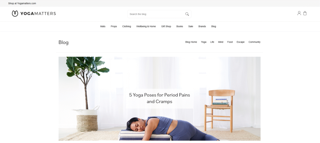 Ecommerce blog example