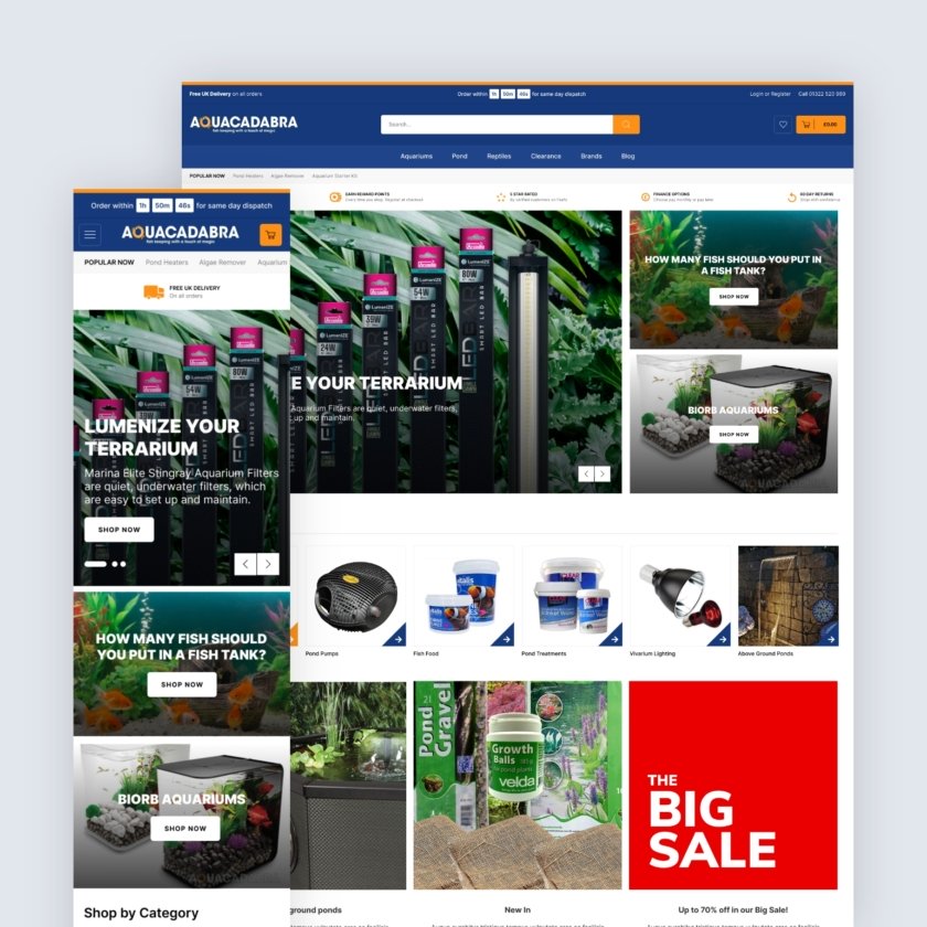 Google Shopping case study